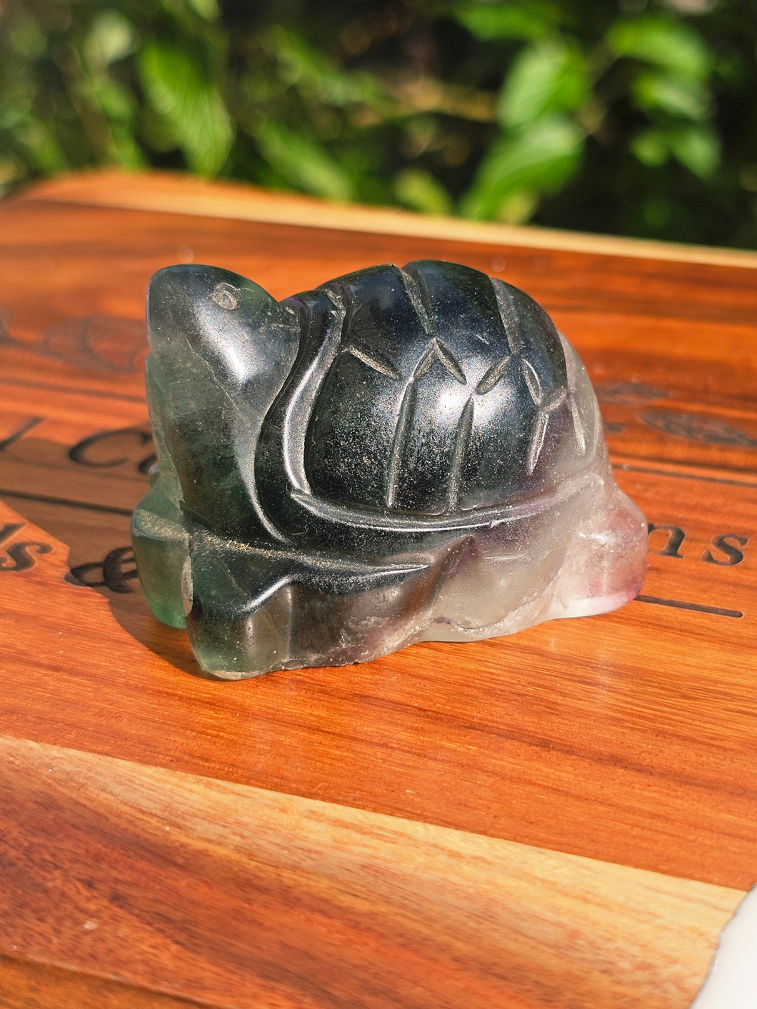 Rainbow Fluorite Turtle