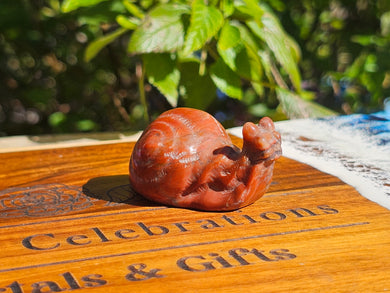 Red Jasper Snail