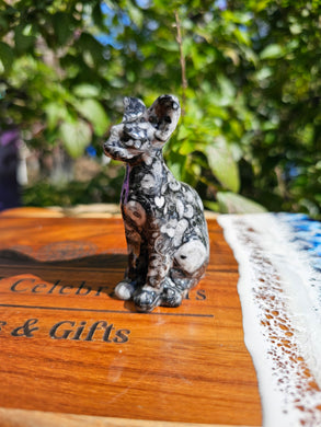 Orthoceras Fossil Cat Carving #1
