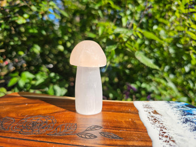 Satin Spar Mushroom