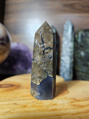 Volcano Agate Point #8