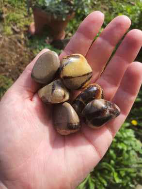 Septarian Tumble Stones