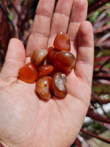 Orange Agate Tumble Stones