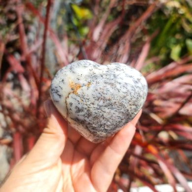 Dendritic Agate Heart