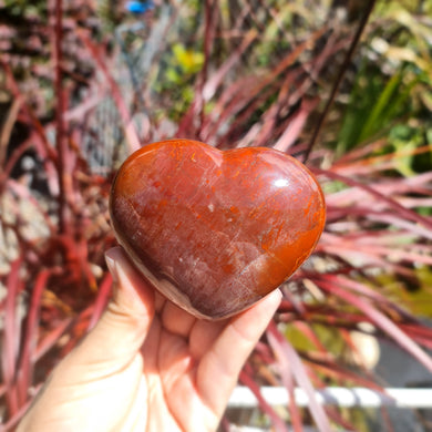 Petrified Wood Heart