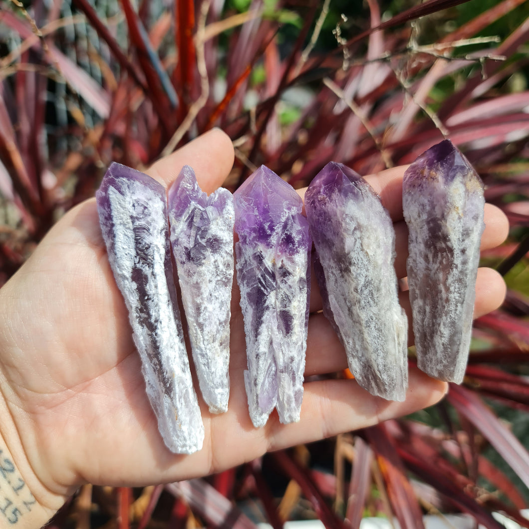 Raw Amethyst Points