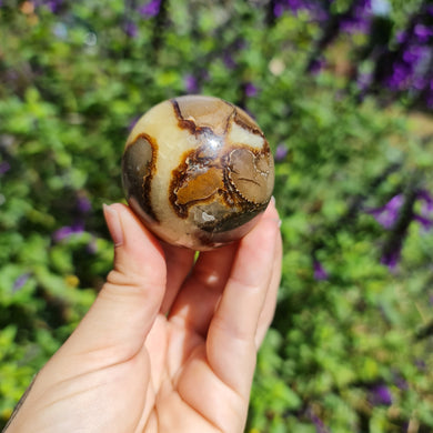 Septarian Sphere $20
