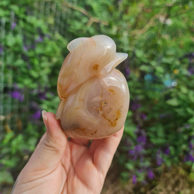 Crazy Lace Agate Geode Dolphin