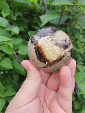Septarian Sphere #1 $29