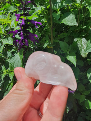 Rose Quartz Crow Skull