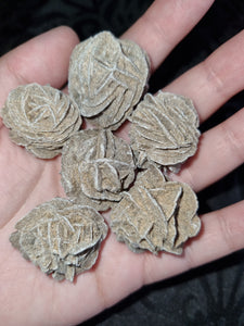 Desert Rose Specimens