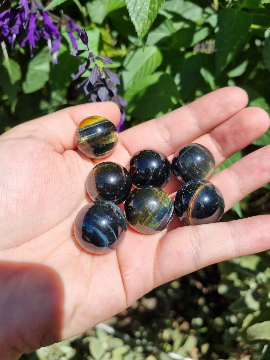 Mixed Tiger Eye Spheres $5