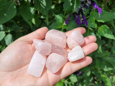 Irregular Rose Quartz Tumbles