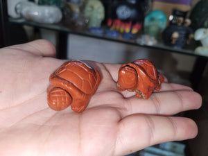 Small Turtles