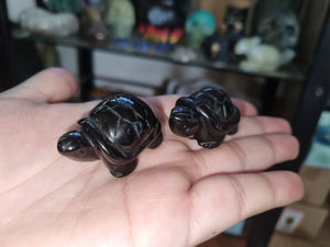 Small Turtles