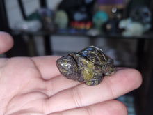 Load image into Gallery viewer, Small Turtles