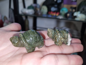 Small Turtles