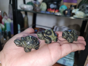 Small Turtles