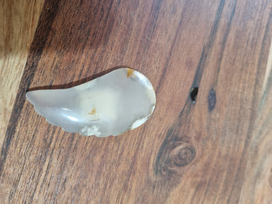 Flower Agate Wing