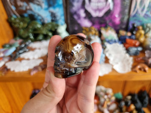 Sardonyx Skulls