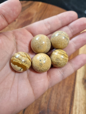 Petrified Wood Mini Spheres $5
