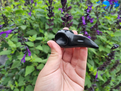 Black Obsidian Bird Skull