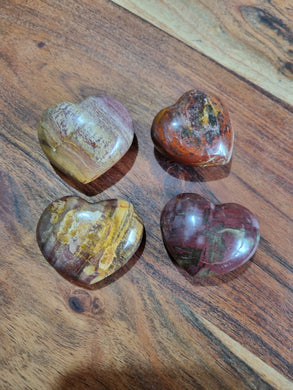 Petrified Wood Hearts