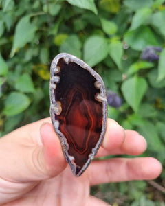 Dyed Agate Slices