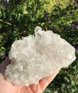 Clear Quartz Cluster