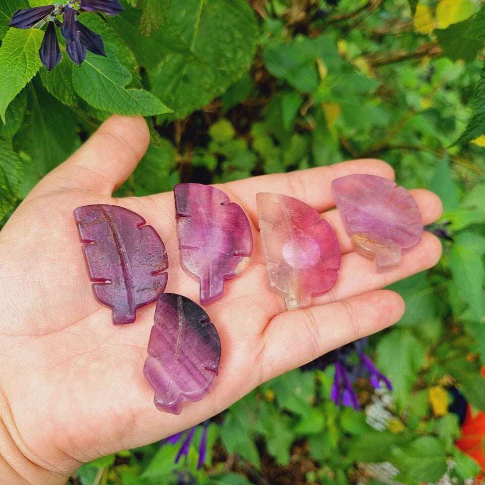 Rainbow Fluorite Leaf