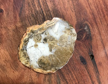 Load image into Gallery viewer, Petrified Wood Slab