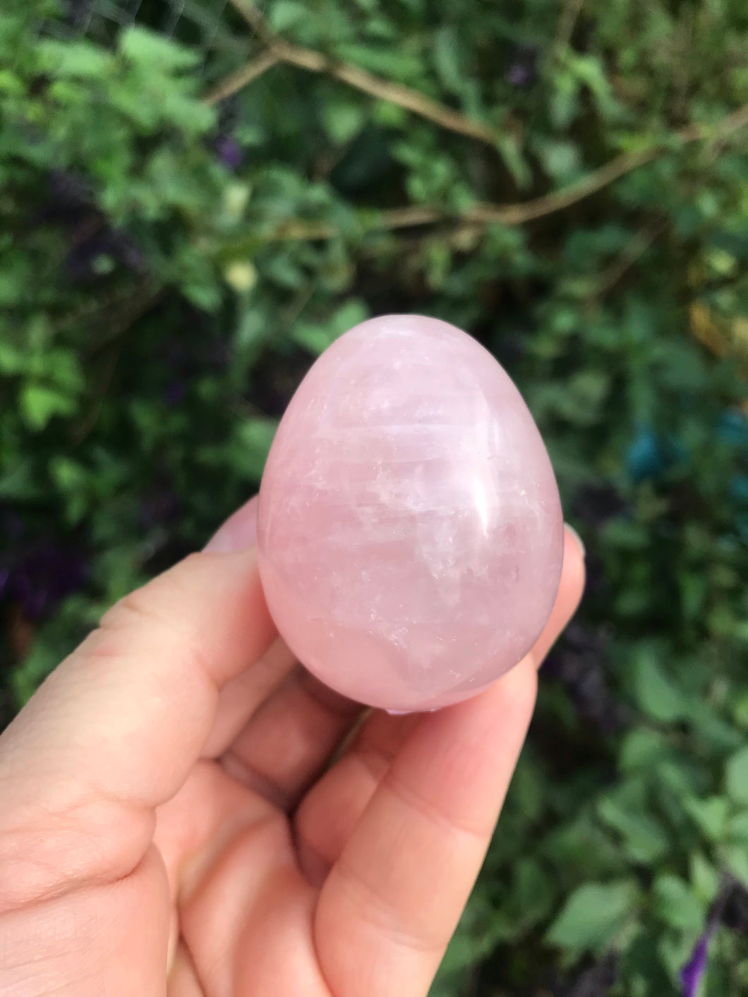 Rose Quartz Egg #2 $18