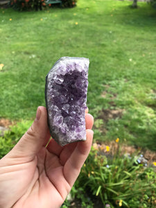 Amethyst Clusters