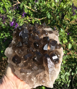 Smokey Quartz Cluster