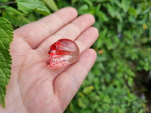 Glass Skulls