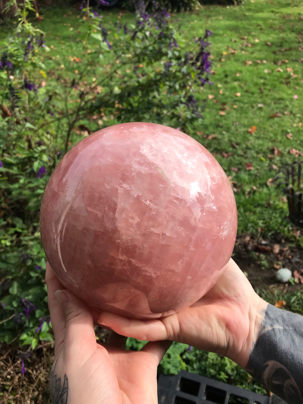 Rose Quartz Sphere- large