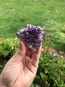 Amethyst Clusters