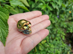 Glass Skulls