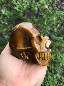 Tigers eye Skull