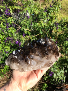 Smokey Quartz Cluster