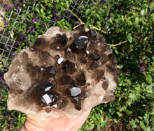 Load image into Gallery viewer, Smokey Quartz Cluster