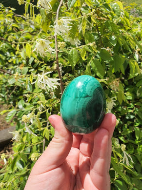 Genuine Malachite Egg