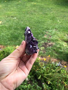 Amethyst Clusters