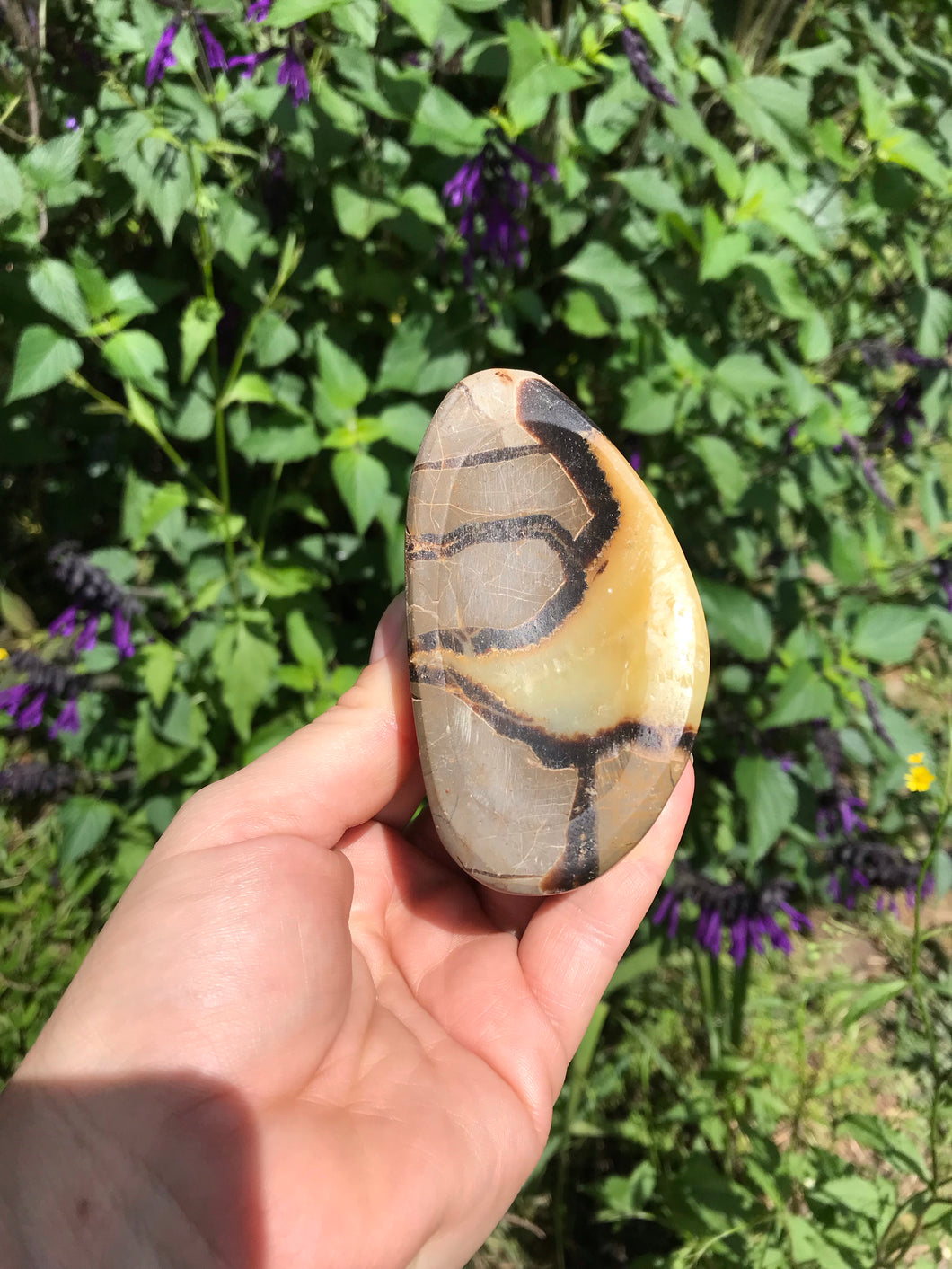 Septarian Carved Bowl