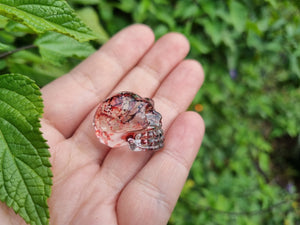 Glass Skulls