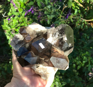 Smokey Quartz Cluster