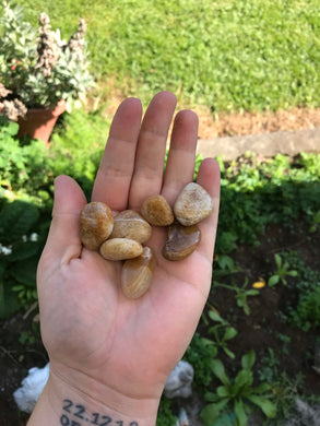 Yellow Jasper Tumble Stones