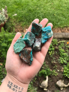 Raw Chrysocolla Chunks