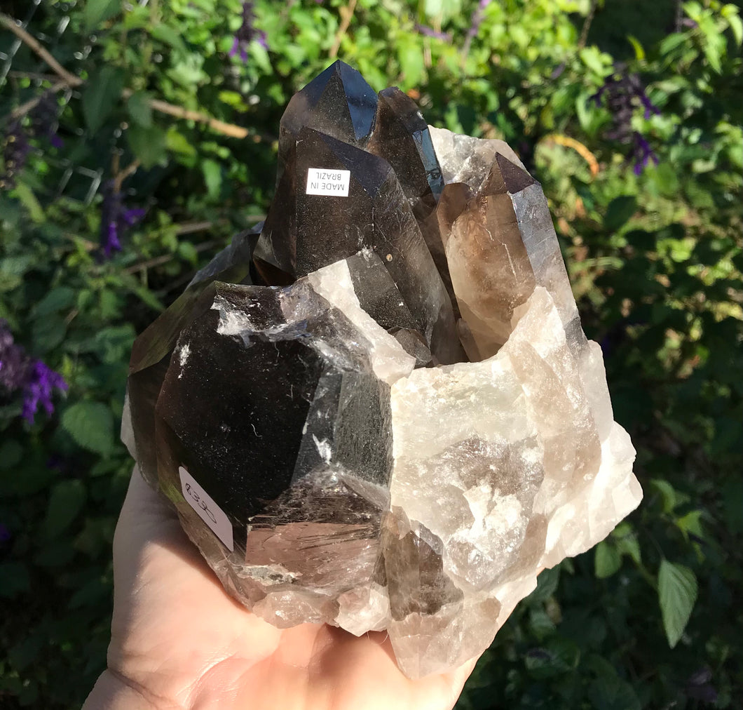 Smokey Quartz Cluster