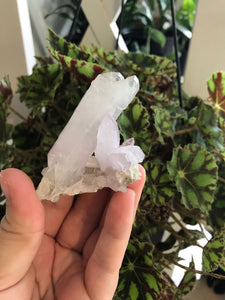 Vera Cruz Amethyst Specimen #11